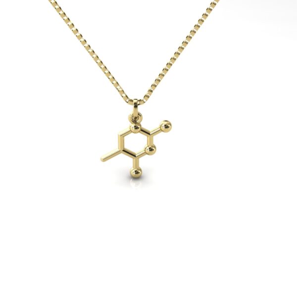 Gargantilha Pingente Molécula Química Tiamina Ouro 18k - Image 4