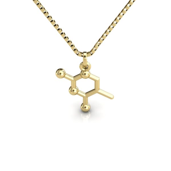 Gargantilha Pingente Molécula Química Tiamina Ouro 18k